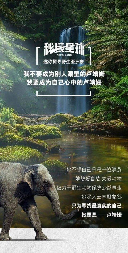 胡锡进：入市以来第一次勇猛追涨实现满仓，信心来自这三个方面