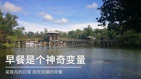 可爱猫咪救援